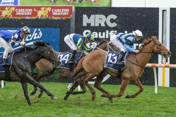 White Robe Lodge graduate running hot in Melbourne