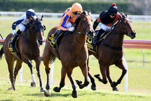 Tough decision looming for Bosson