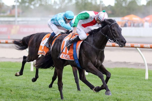 Aegon caps stellar day for Forsman