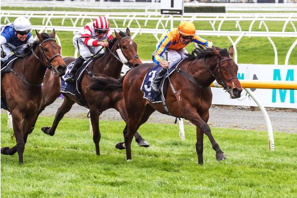 Cognito on target for Group One assignment