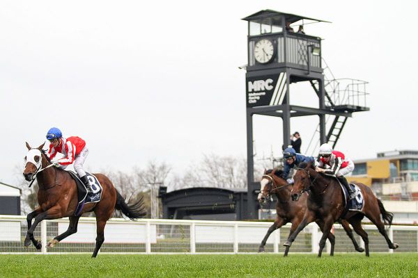 Kiwi-bred makes Grand Impact at Caulfield