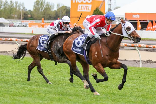 Colt set to make a Group One impact