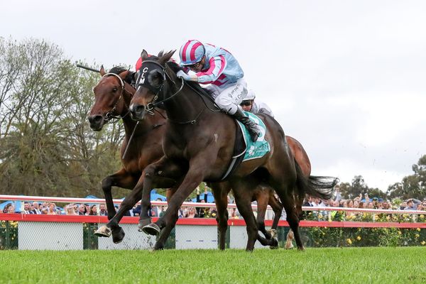 Melbourne Cup placegetter retired