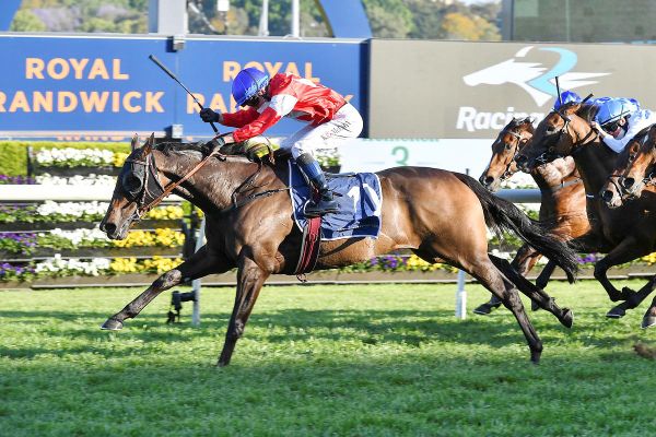 Icebath primed for The Invitation