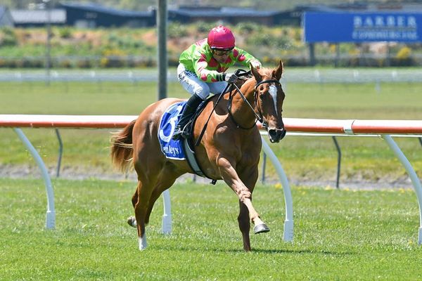 Debutante justifies rating with hollow win