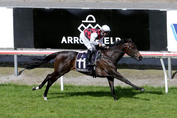 Flemington double the aim for La Crique