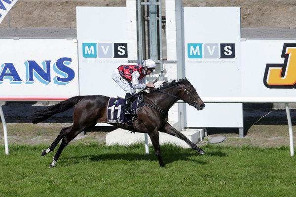 <strong>Thorndon history not lost on Alexanders</strong>