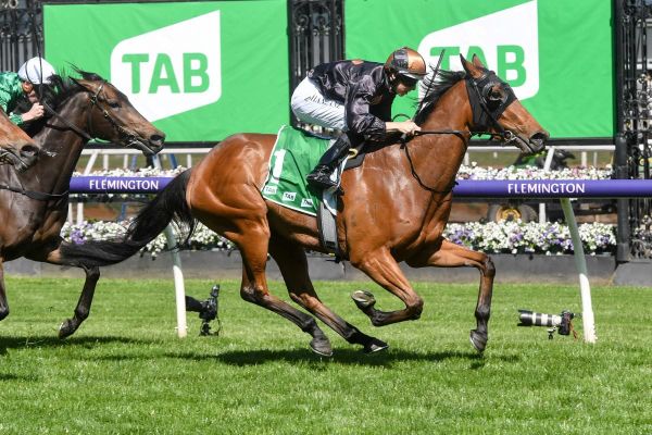 Rider For Licketysplit