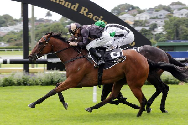 Kiwi filly to chase massive bonus