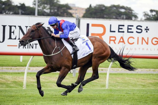 Lost And Running seeking Everest consolation