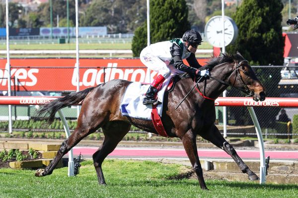 Lindsay Park looking on the Brightside