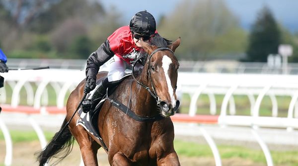 Forsman adds to Melbourne arsenal