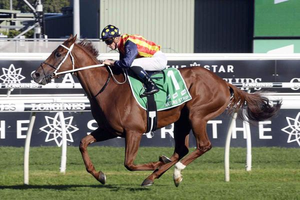 Sir Steve puts Everest hopes in the hands of Waller