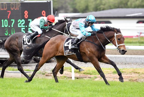 Veteran galloper does all the talking at Awapuni