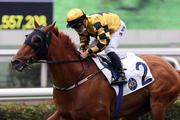 Unbeaten Flying Ace goes for five straight