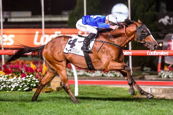 Brown's Caulfield Cup bid