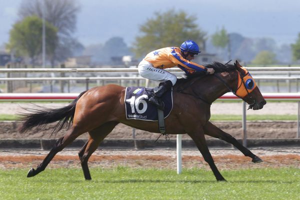 Rollercoaster day for Te Akau Racing￼