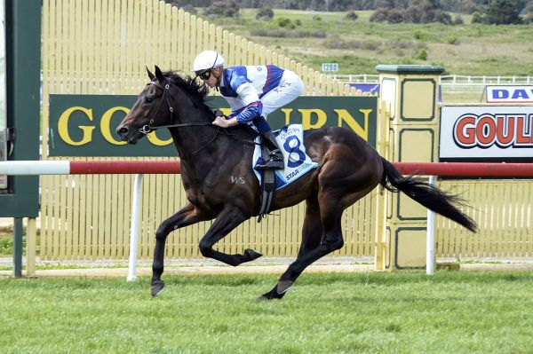 Savabeel colt books a date for bigger targets