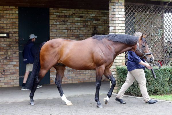 Cream rises to the top at Windsor Park