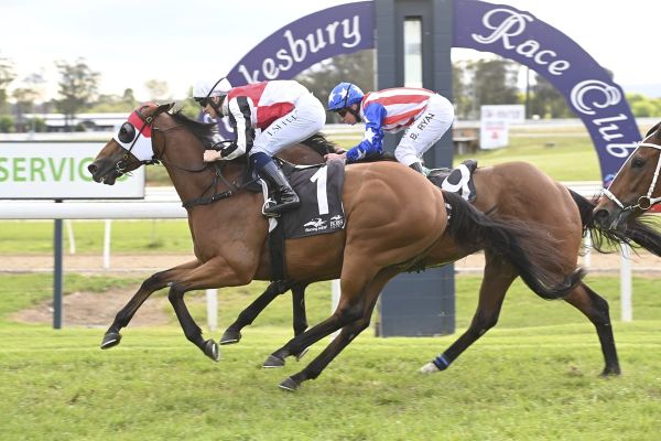 The Gong next for winning machine Kirwan’s Lane