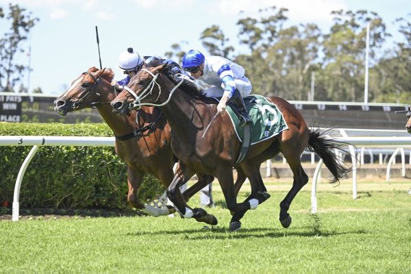 McDonald sings praises of Waller 3YO