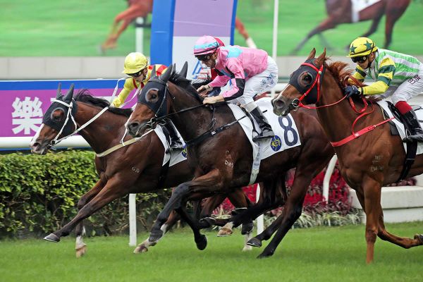 Beluga helps Zac hit 40 in day’s feature