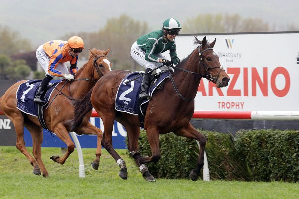 Bary all smiles with Guineas hope