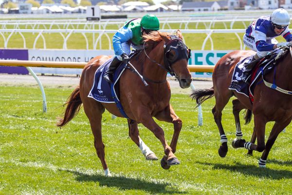 Botti flying Kiwi flag in Jericho Cup