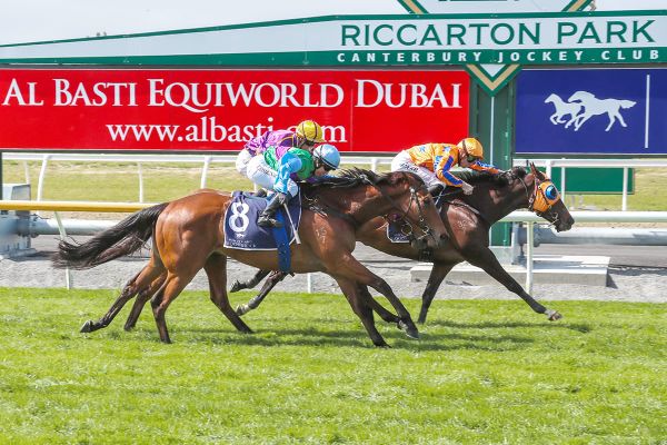 Parr and Walker combine for stakes success at Riccarton