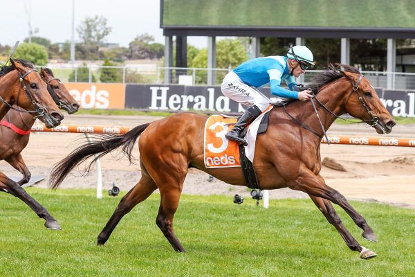 Crosshaven back on target with Caulfield Group Three