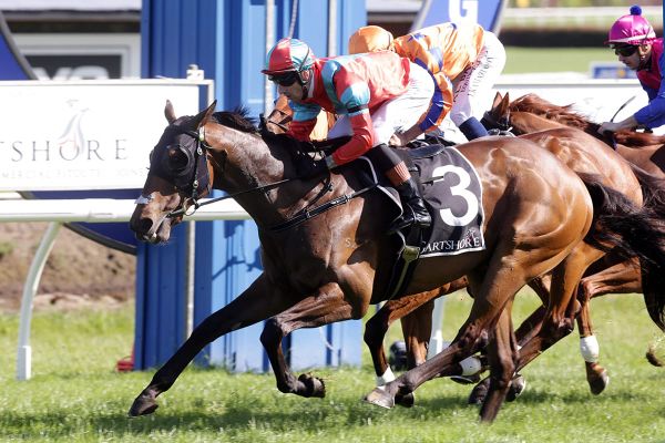 Demonetization provides Zackey with local stakes victory