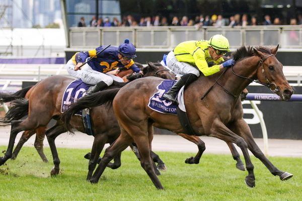 Detonator Jack explosive at Flemington