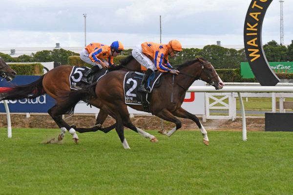 Bright future for Tokyo Tycoon