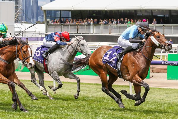 Flash Feeling scores at Flemington