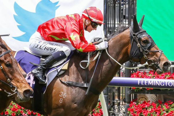 French Emperor rules in Flemington opener
