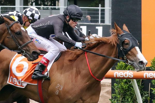 Gin Martini triumphs for father of the bride