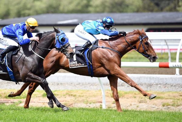 Meadows out to upstage generous uncle in New Zealand Cup