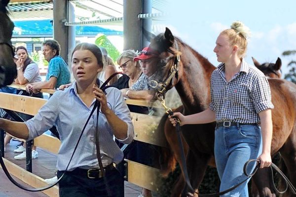 Irish National Stud Scholarship recipients announced