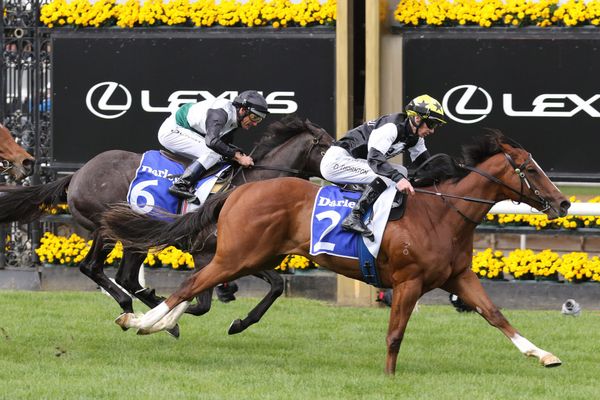 Ribchester colt lands Group Three at Flemington