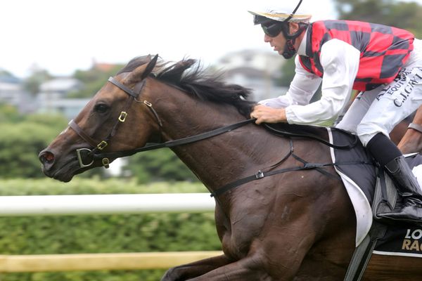 Alexander learns plenty about La Crique for the future