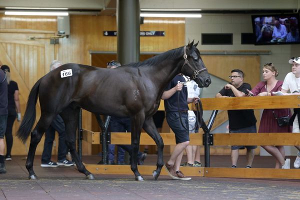 International Strength Returns on Day One