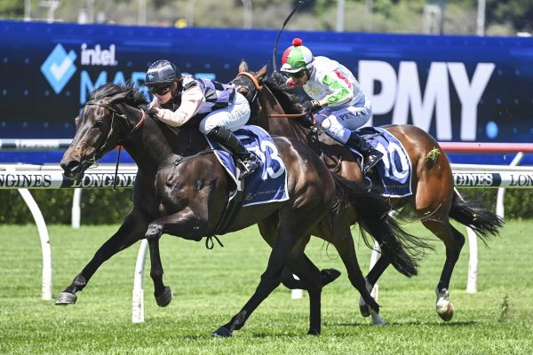 Nautical Miss win a perfect tribute to Gwenda