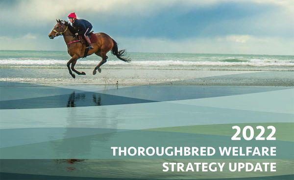 NZTR Thoroughbred Welfare Strategy Update