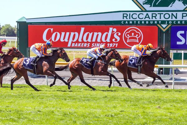 Sky On Fire heads Welcome Te Akau trifecta