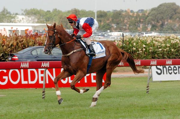 Vale trailblazer Starcraft