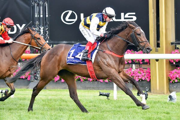 Kiwi import wins 500k Country Final