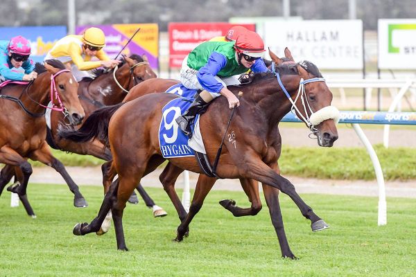 Homecoming for Vidiano