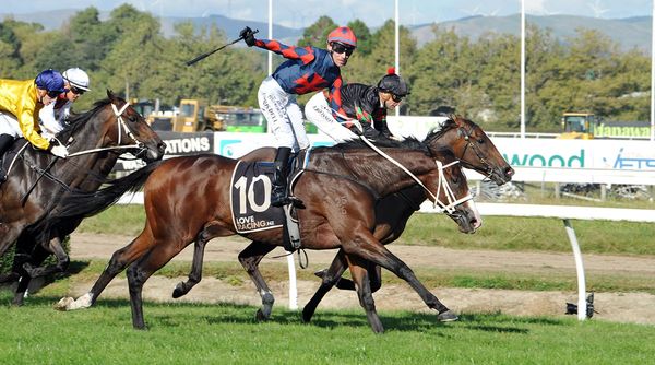 Road trip a winner on two fronts