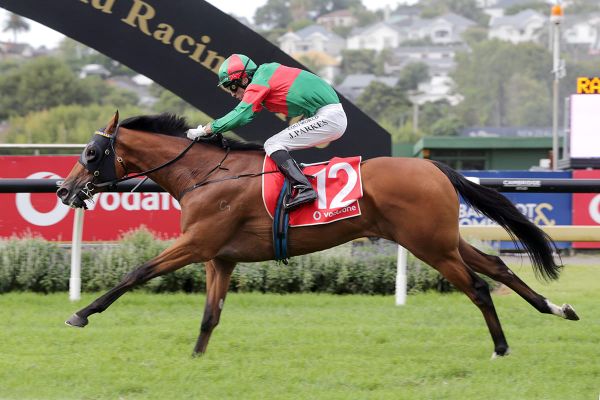 Derby winner returns at Te Rapa