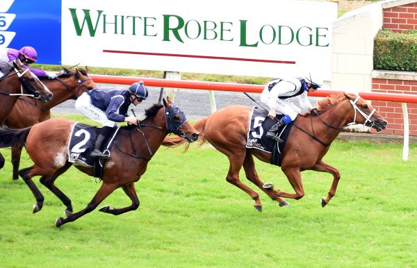 Australia on horizon after Buoyant strikes again